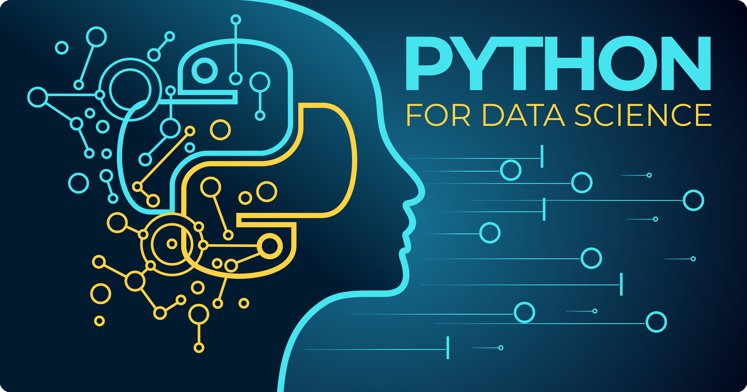Python for Data Science – Course for Beginners (Learn Python, Pandas, NumPy, Matplotlib)
